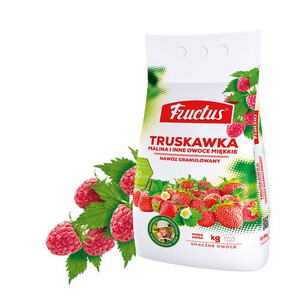 Fructus Truskawka 5kg