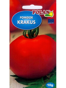 POLAN Pomidor gruntowy Krakus wysoki 1g