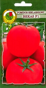 PNOS Pomidor szklarniowy Bekas F1 1g