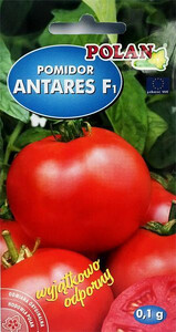 POLAN Pomidor gruntowy Antares karłowa 0,1g