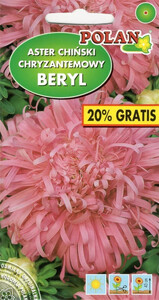 POLAN Aster chryzantemowy Beryl różowy 1 + 0,2g