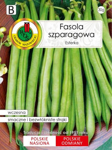 PNOS Fasola szparagowa Esterka zielona karłowa Bestseller 30 g