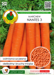 PNOS Marchew Jadalna Nantes 3 300 nasion otoczkowanych