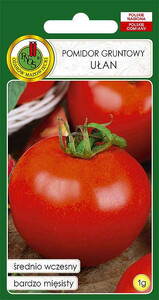 PNOS Pomidor gruntowy karłowy wiotkołodygowy Ułan 1g