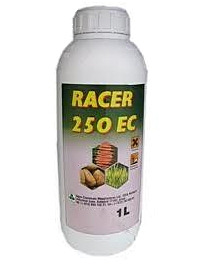 Racer 250EC 1l