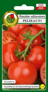 PNOS Pomidor szklarniowy Pelikan F1 1g 