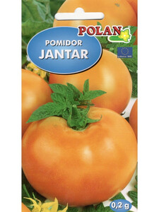 POLAN Pomidor gruntowy Jantar 0,2g