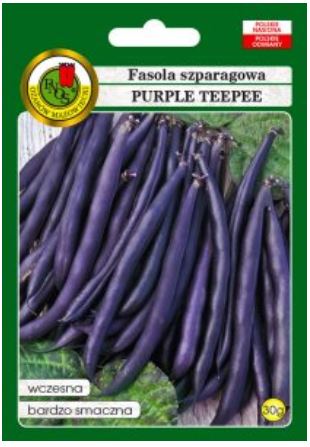 pnos fasola szparagowa purple teepee