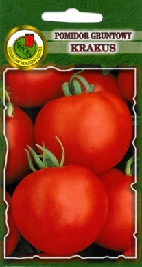 PNOS Pomidor gruntowy Krakus 1g