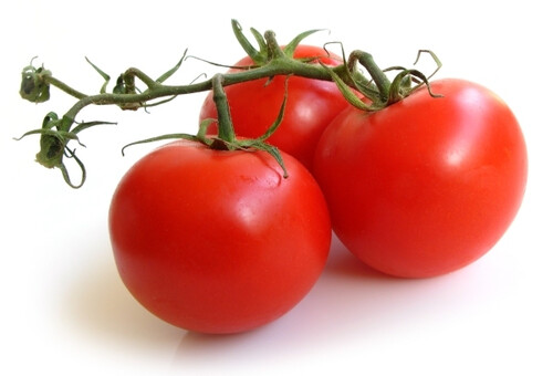 Syngenta pomidor Brooklyn F1 500 n