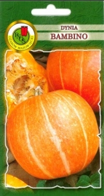 PNOS Dynia olbrzymia Bambino 100g