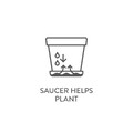 Supp_Green-Basics_Saucer-Helps-Plant.jpg