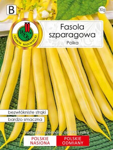 PNOS Fasola szparagowa Polka żółta karłowa Bestseller 30g