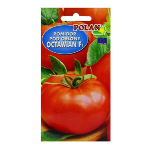 POLAN Pomidor szklarniowy Octawian F1 0,1g