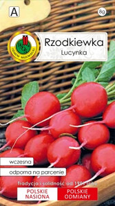PNOS Rzodkiewka Lucynka Bestseller 8g