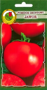 PNOS Pomidor gruntowy karłowy wiotkołodygowy Jawor 1g