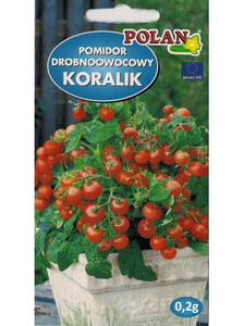POLAN Pomidor gruntowy Koralik koktajlowy czerwony 0,5g