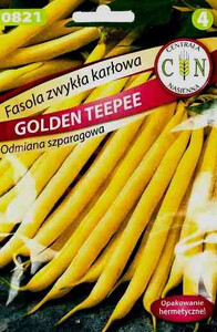 CN Fasola Golden Teepee karłowa szparagowa