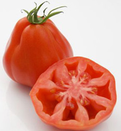 Syngenta pomidor Arawak F1 500 n 