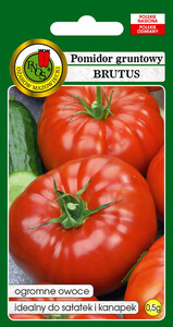 PNOS Pomidor Gruntowy Brutus 0,5g