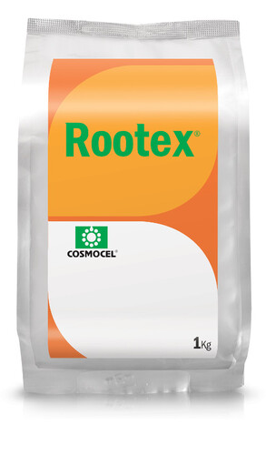 Rootex worek.jpg