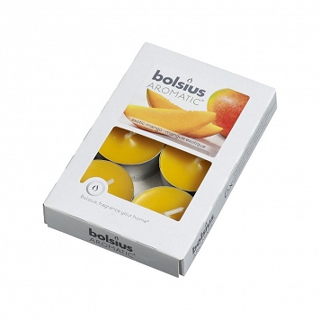 BOLSIUS Podgrzewacz 6 szt. mango