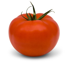 Carnegie F1 Pomidor