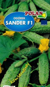 POLAN Ogórek gruntowy Sander mieszanka 3g
