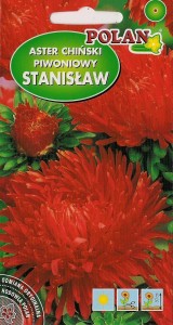 POLAN Aster peoniowy Stanisław czerwony 1g