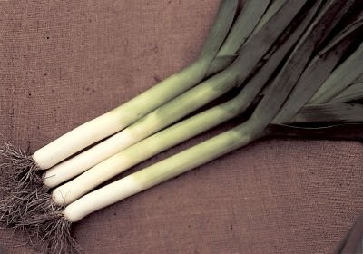 por Pancho  10 000 n Nickerson Zwaan