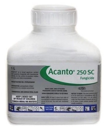 SYNGENTA Acanto 250SC 1,0l