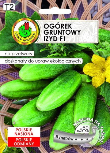 PNOS Ogórek Gruntowy Izyd F1 6m
