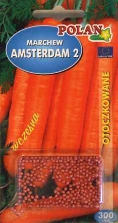 POLAN Marchew Amsterdam 2 otoczka 300ZM