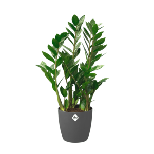 ELHO BRUSSELS OSŁONKA OKRĄGŁA Z KÓŁKAMI 35CM CIEMNO SZARA