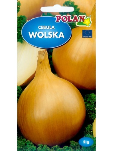 POLAN Cebula Wolska 5g