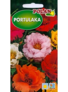 POLAN Portulaka wielkokwiatowa mieszanka 0,5g