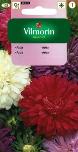 VILMORIN Aster karłowy mieszanka 1g