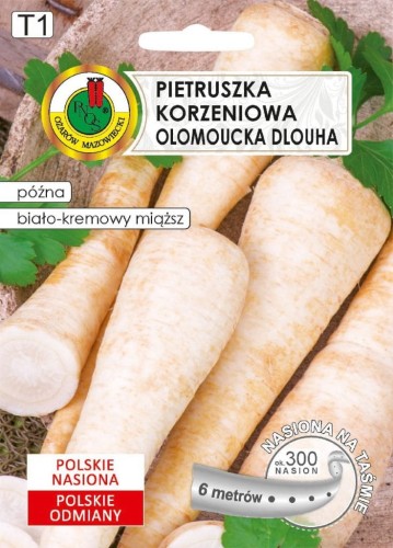 PNOS Pietruszka Korzeniowa Ołomuńcka na taśmie 6m