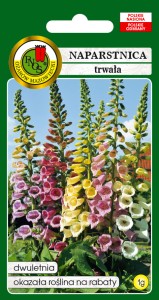 PNOS Naparstnica trwała Gloxiniaeflora mieszanka 1 g