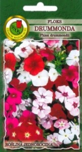 PNOS Floks Drumonda mieszany 0,8g