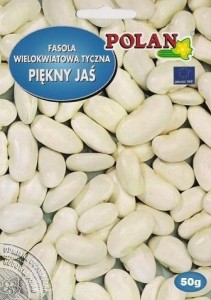 POLAN Fasola nsn Piękny Jaś konsumpcyjny 50g