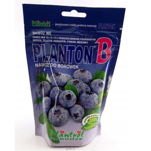 Planton B borówka