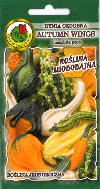 PNOS Dynia ozdobna Autumn Wings mieszanka 1g