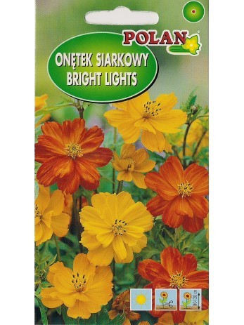 POLAN Onętek Kosmos siarkowy Bright Light 1g