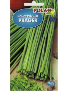 POLAN Szczypiorek ogrodowy Prager 2g