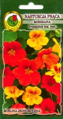 PNOS Nasturcja pnąca mieszanka 6g