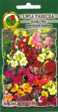 PNOS Lwia paszcza karłowa mieszana 0,5g