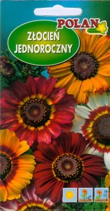 POLAN Złocień Trójbarwny Rainbow mieszany 1g