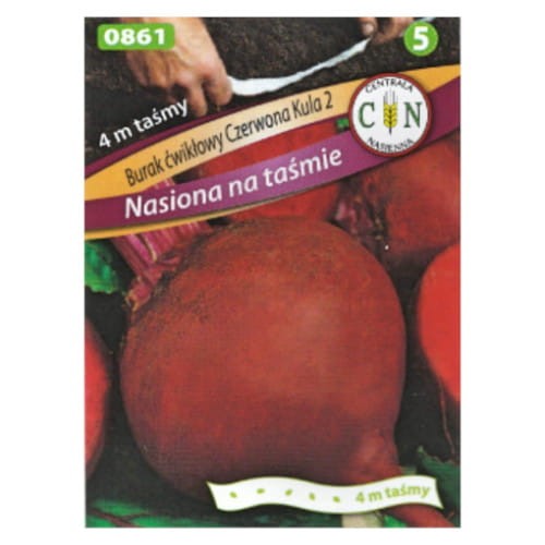 CENTRALA NASIENNA Burak Czerwona Kula - nasiona na taśmie 4 m