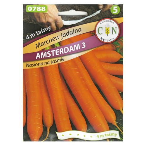 CN Marchew Amsterdam 3 na taśmie 4m